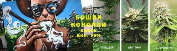 каннабис Богданович