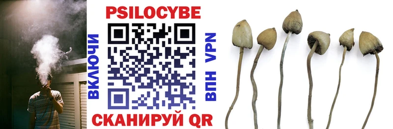 магазин продажи blacksprut ССЫЛКА Галлюциногенные грибы MAGIC MUSHROOMS Берёзовский
